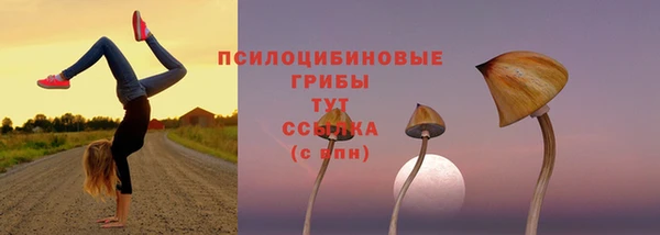 бошки Армянск