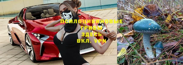 бошки Армянск