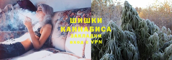 PSILOCYBIN Арсеньев