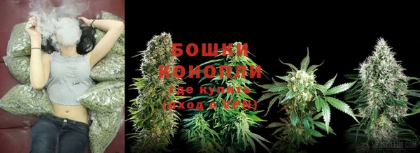 PSILOCYBIN Арсеньев
