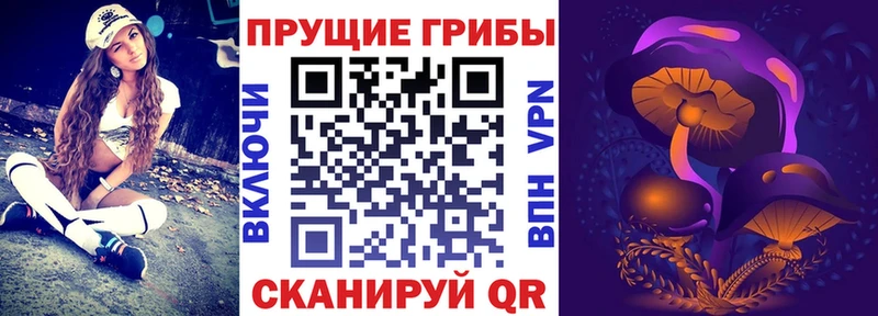 Псилоцибиновые грибы Psilocybe  Чухлома 